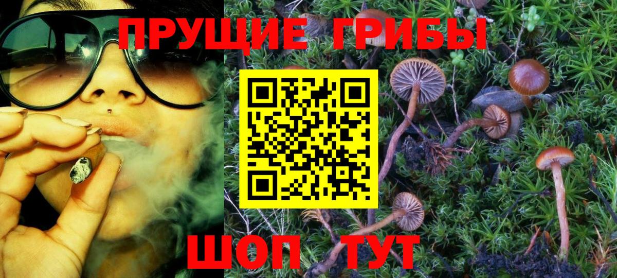 Галлюциногенные грибы Magic Shrooms Владикавказ