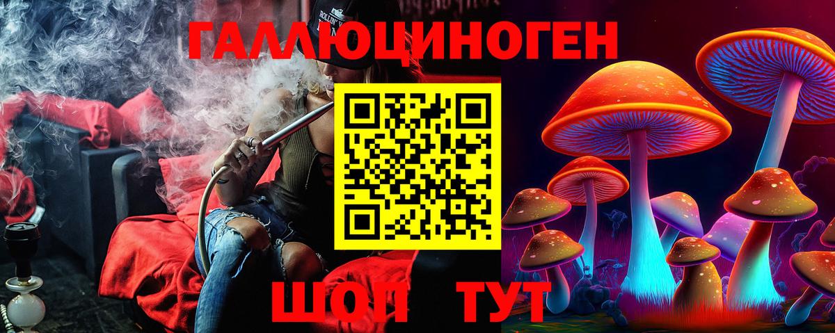Владикавказ  Псилоцибиновые грибы Psilocybine cubensis  Вход с VPN  Псилоцибиновые грибы мухоморы 